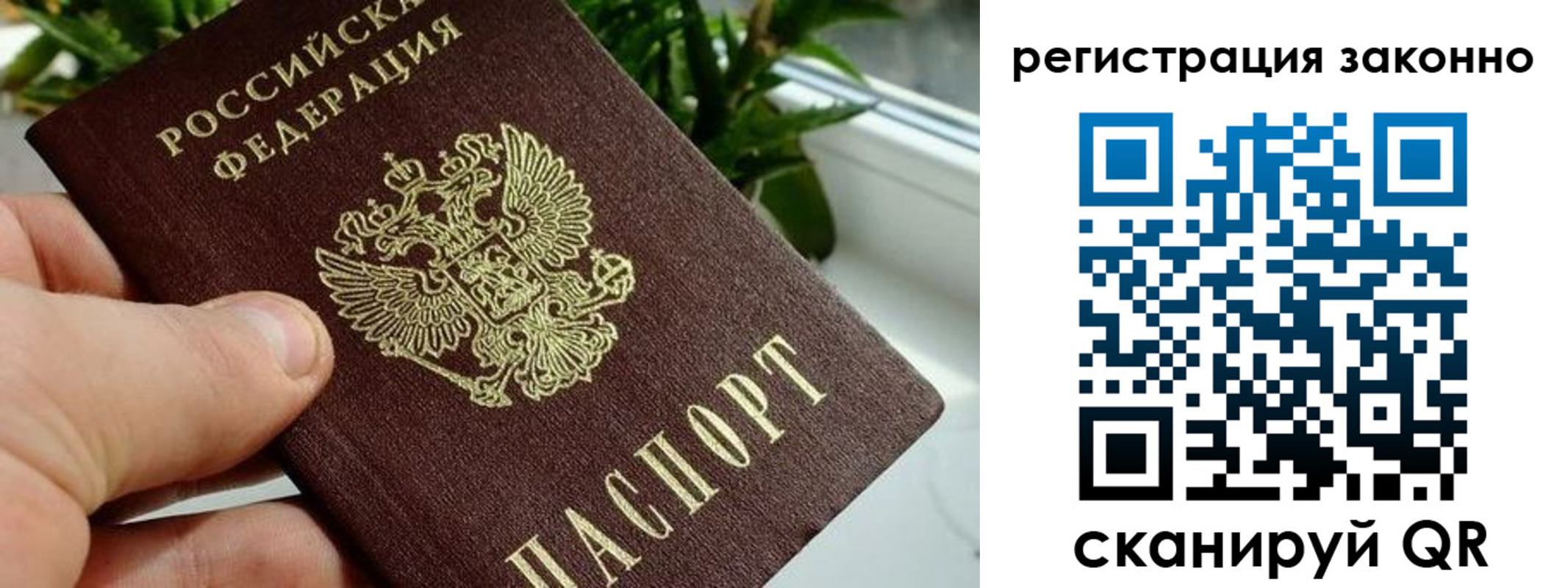 прописка гарантия в Краснодарском крае